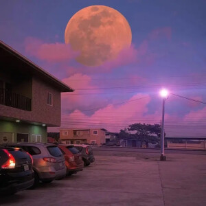 今日份朋友圈背景图✔