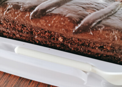 ( ´･ω･)ﾉ(._.`)