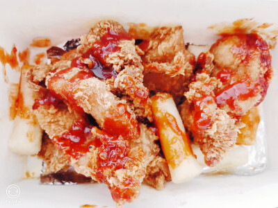 ( ´･ω･)ﾉ(._.`)