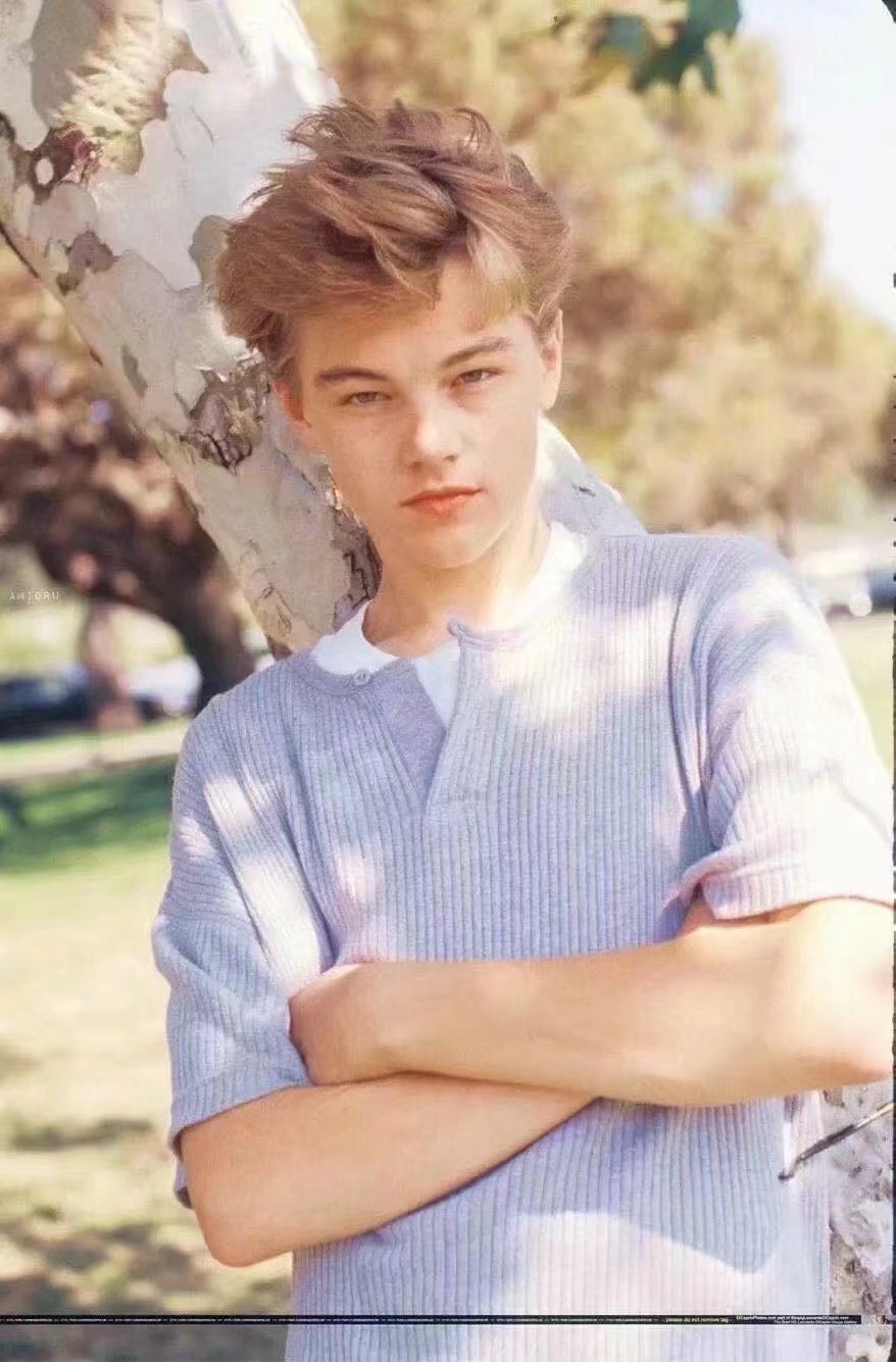 Leonardo Dicaprio
小李子