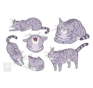 猫 插画