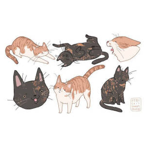 猫 插画