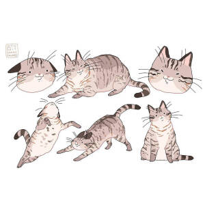 猫 插画