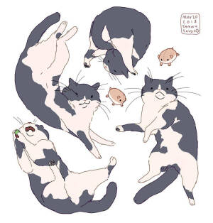 猫 插画