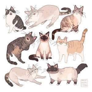 猫 插画