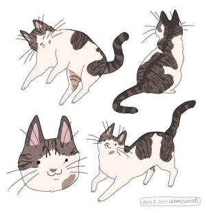 猫 插画