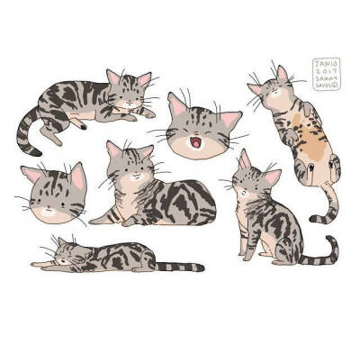 猫 插画