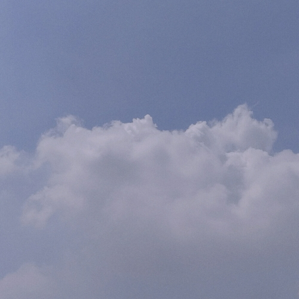 在这炎炎夏日，听到知了的叫声了吗