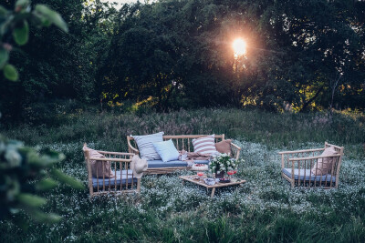 花海里的野餐 B162