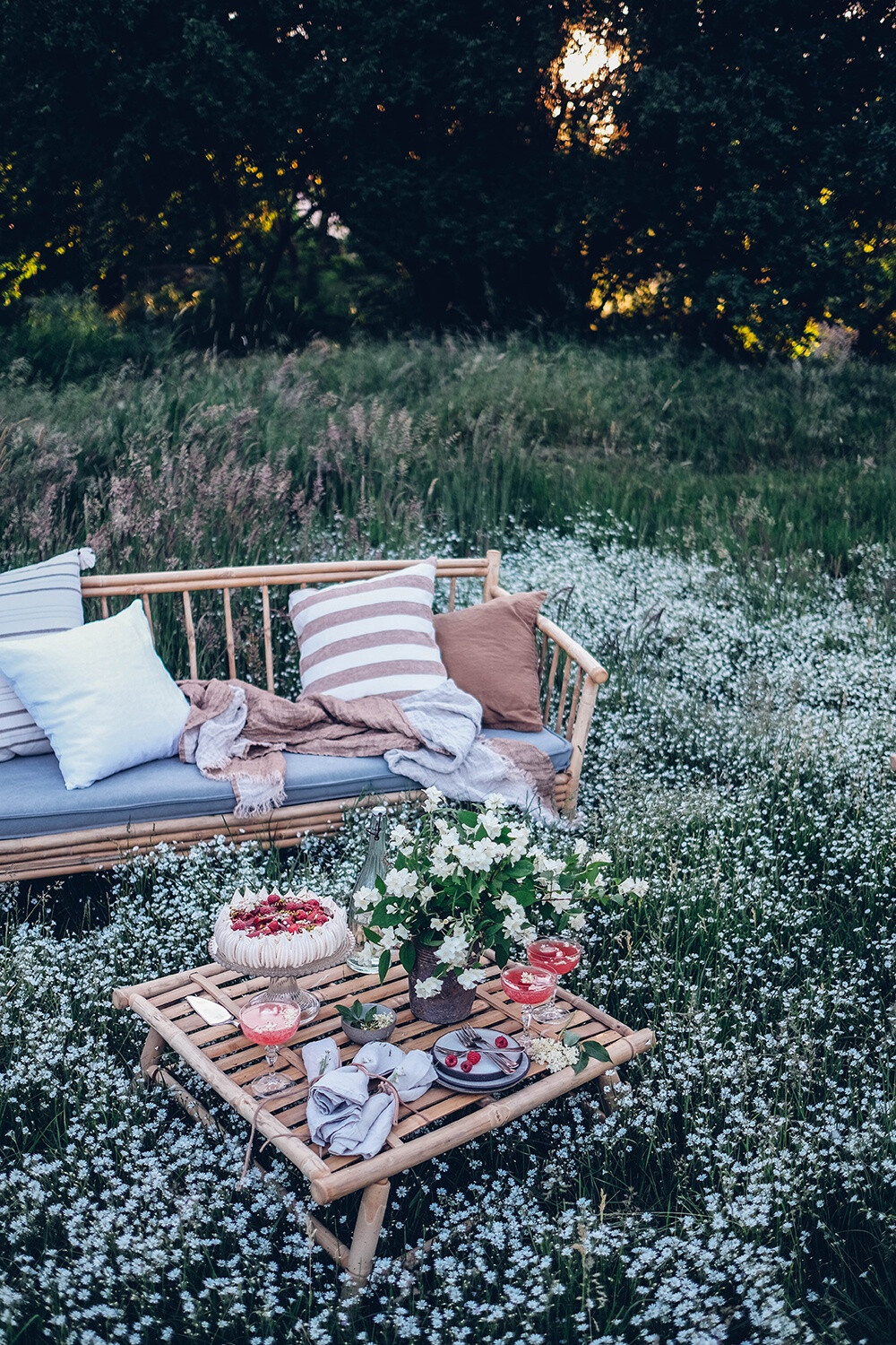 花海里的野餐 B162