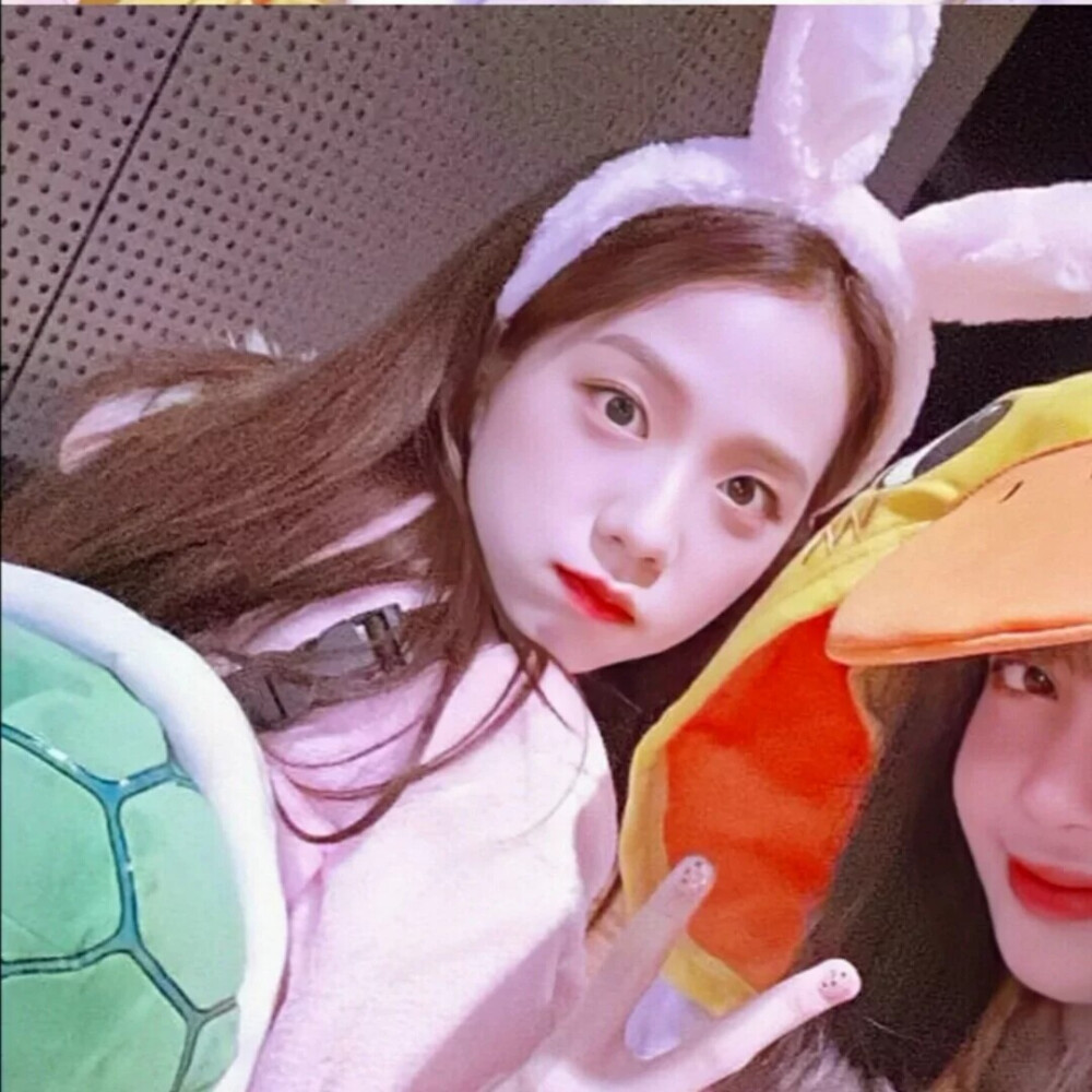 “荔枝”cp
lalisa manoban&jisoo