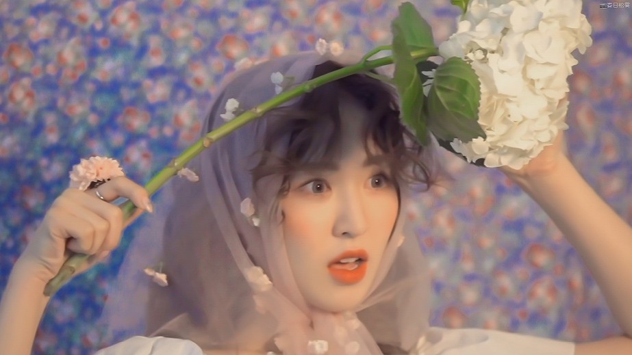 Red Velvet 孙胜完 孙承欢 Wendy