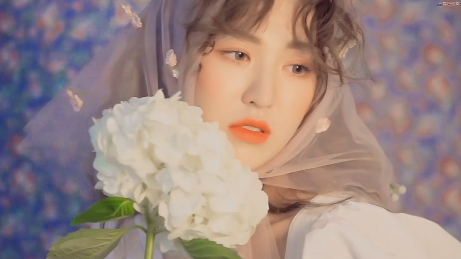 Red Velvet 孙胜完 孙承欢 Wendy