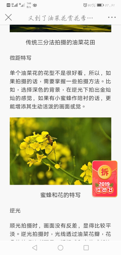 花怎么拍