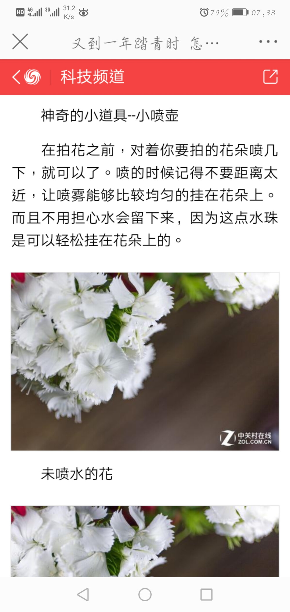 花怎么拍