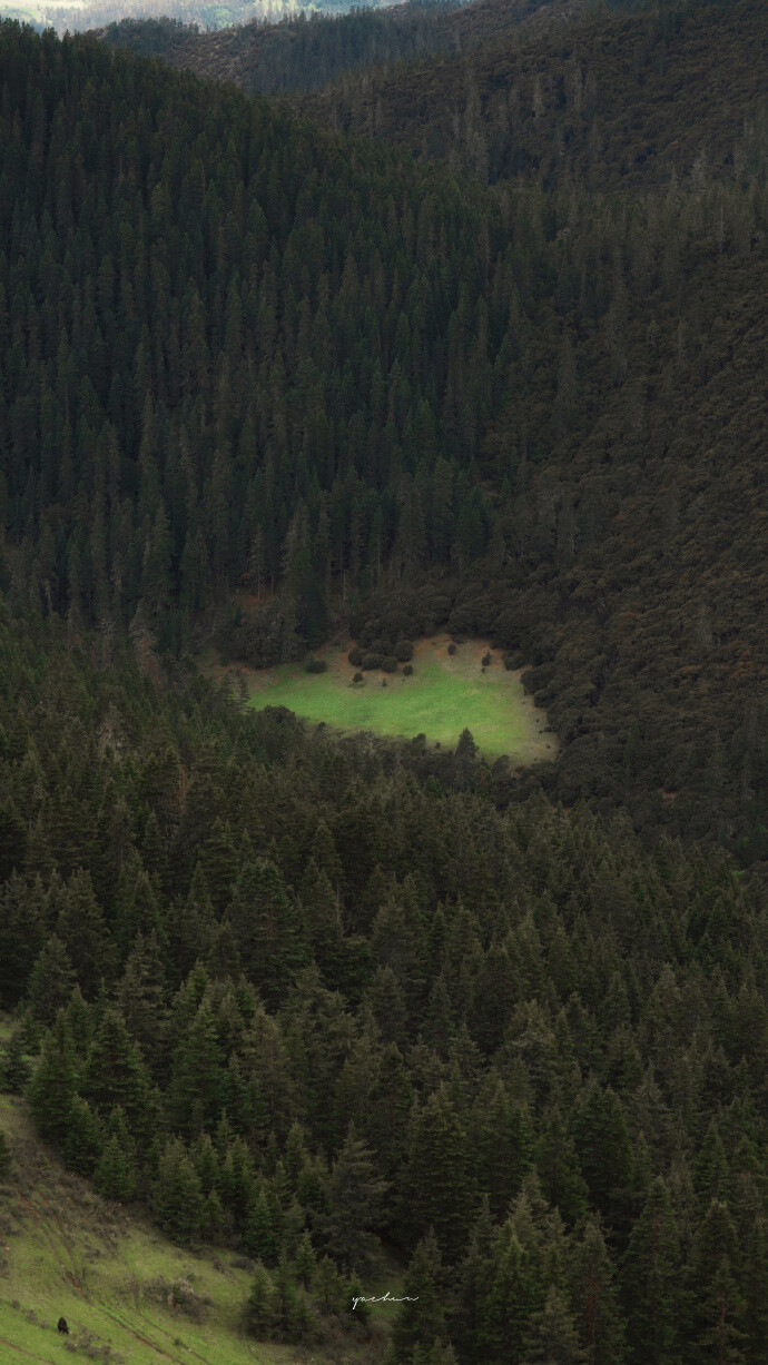 人生海海 山山而川 ​​​​