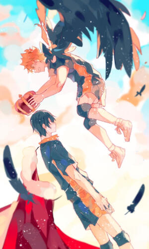 非你莫属*影日*排球少年（图源lof侵删