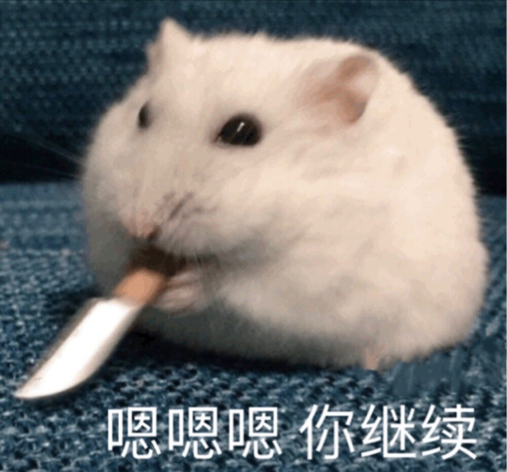 ys