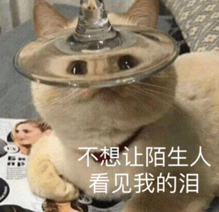 猫咪表情包 可爱