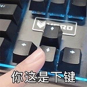 沙雕网友