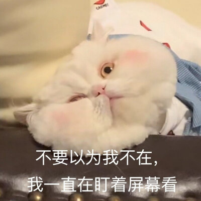 球球