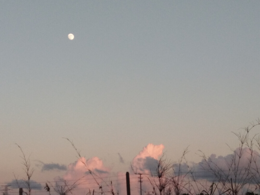 奇奇怪怪的夏天♥清风 晚霞 落日 翠树 娇艳的花✔