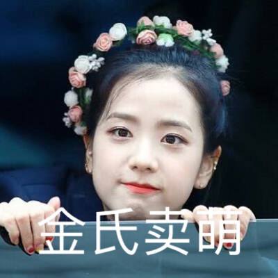 jisoo表情包