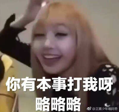 Lisa表情包