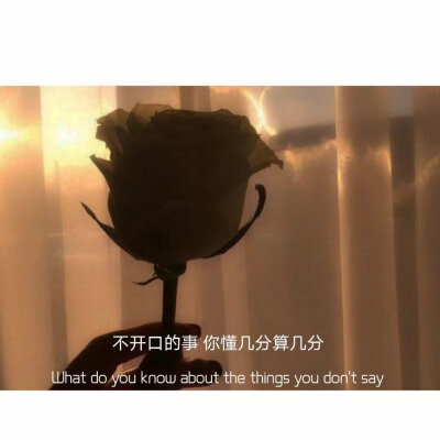 戳赞这组头像 你会收到超级好消息ʚ♥ɞ