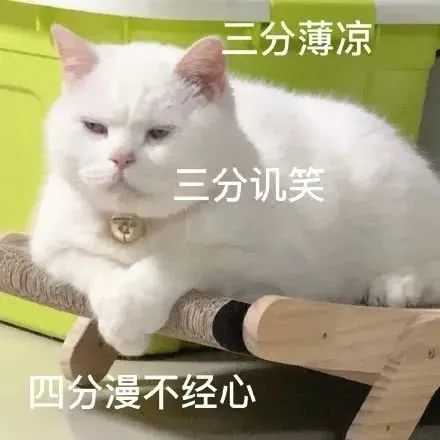 猫の表情包