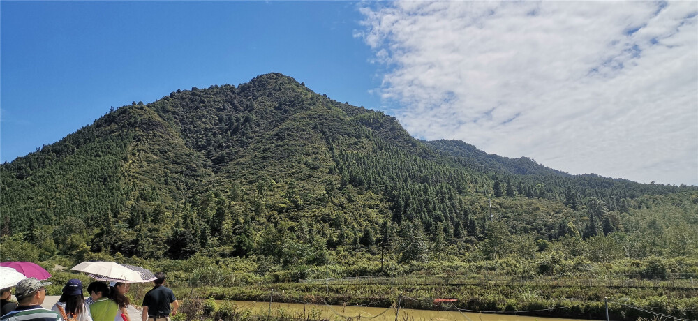 7月31日，来到位于井冈山市新城镇排头村内的银冈仙，风光美不胜收。青山、白云、稻田、房屋，构成了一幅幅美丽的山水画。银冈仙为原宁冈县八大古景之一，上面既有古色书香的龙潭书院，也有清澈见底的龙潭洞泉，更有代代相传的红色故事。(摄/肖勇)