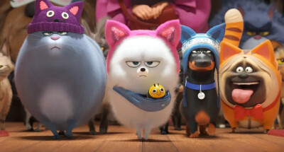 爱宠大机密2 The Secret Life of Pets 2