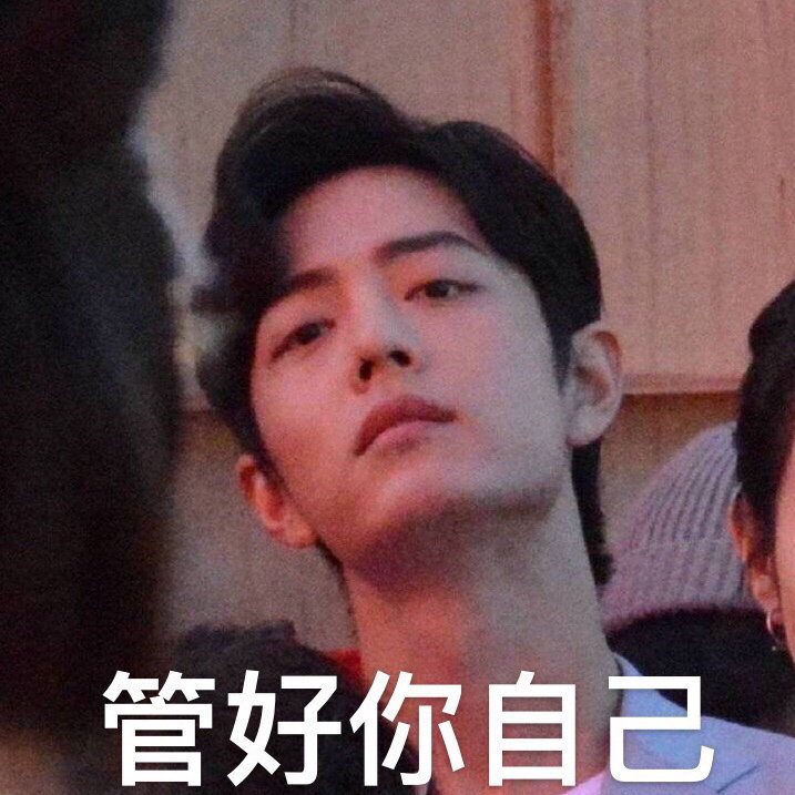 肖战沙雕可爱表情包