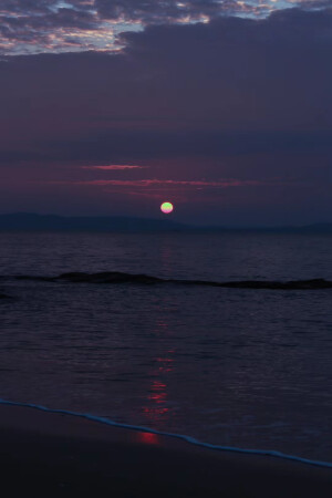 海
