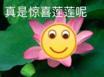 偶尔弄一弄可爱的。☹️