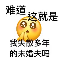 剩下的明天再发吧，累了