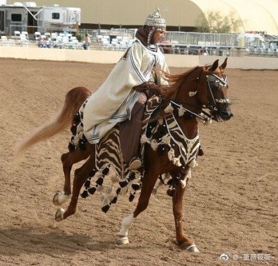 女骑手 异国风 马 骑马 来自微博 侵删侵删侵删