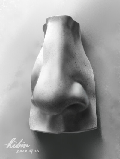 石膏照片写生练习