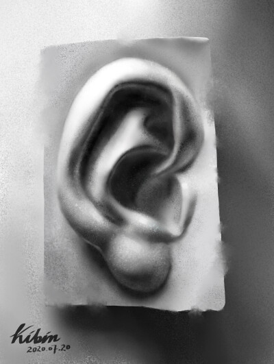 石膏照片写生练习