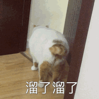 猫猫表情包 gif动图 溜了溜了