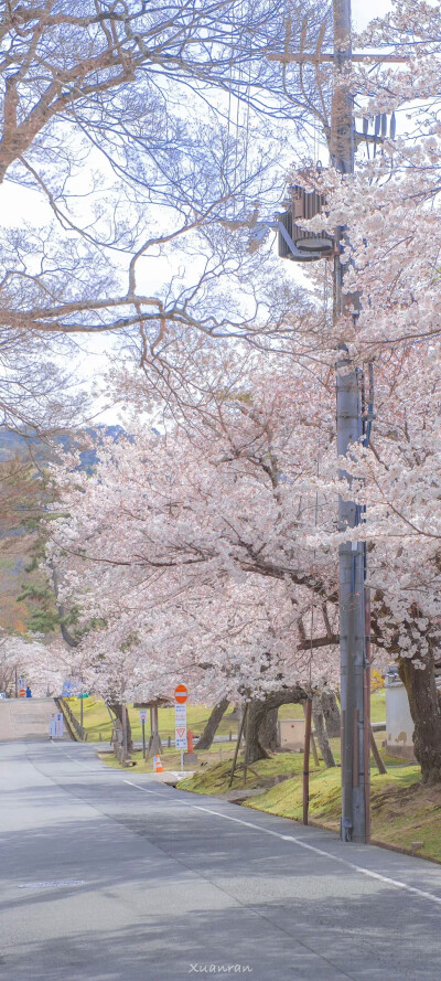 ひっそり远くから、もしかすると离（はな）し难（がた）いのか。黙々（もくもく）と静かに、もしかするととても価値（かち）があるのか。僕はまだここで待っている。悄悄的远远的或许舍不得，默默地静静地或许很值得…