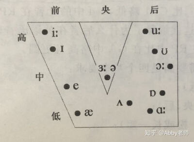 元音舌位图