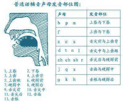 元音舌位图