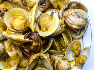 炒蛤蜊 蛤蜊 炒 炒菜 美食 食物 烹调 烹饪 容器 盘子 瓷盘 异形盘 白色瓷盘 圆盘子 静物 食品 中国 新鲜 特写 海鲜 贝壳 饮食 美味 形状 白色背景 摄影 亚洲 健康食物 海产 甲壳动物 有机食品 食物状态 营养 饮食文…