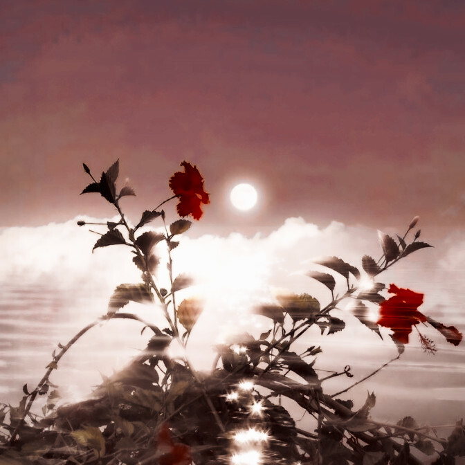 
神明会给你想要的答案，他们总是这样说着。
