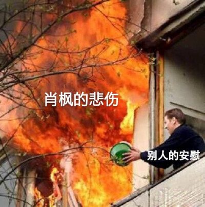 肖枫惨
表情包