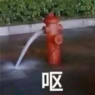 今日份表情包请签收.