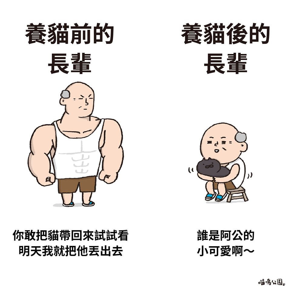 可以存图