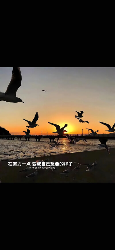 抖音热图,伤感文字壁纸《风景》?锁屏壁纸