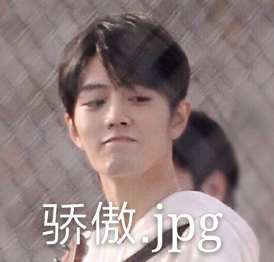 肖战 表情包❤️